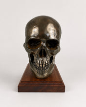 Life-size cold cast bronze skull display on wooden base