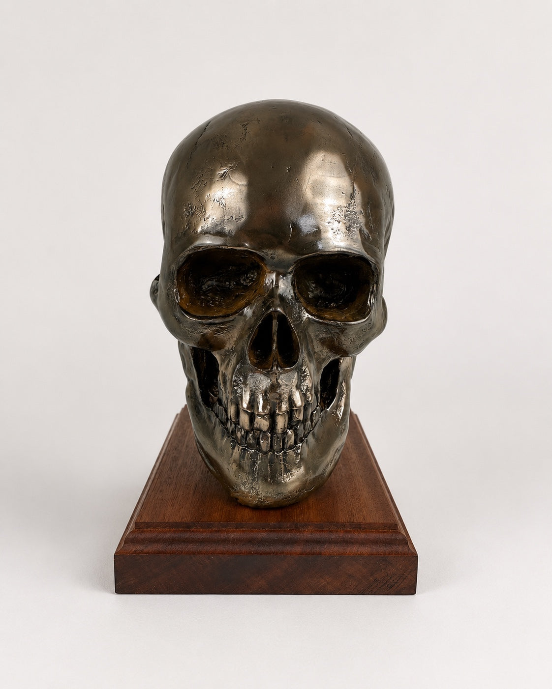 Life-size cold cast bronze skull display on wooden base