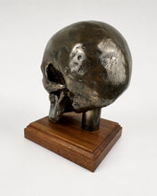 Rear angled view of life-size cold cast bronze skull display