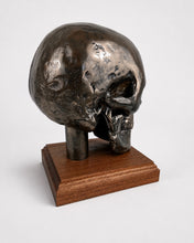 Side and rear view of cold cast bronze skull on wooden base