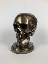 Life Size Skull Beret/Hat Holder Cold Cast Bronze Statue Sculpture